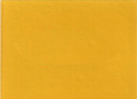 2002  Ford Chrome Yellow